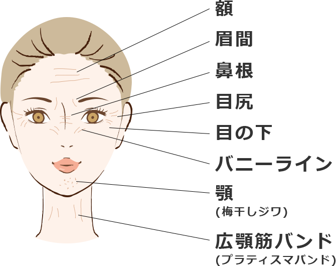 表情ジワと固定ジワ